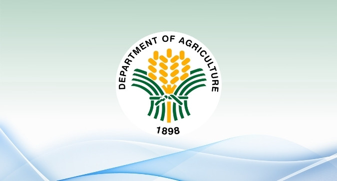 DA eyes major overhaul of pork import rules amid concerns over quota&nbsp;manipulation