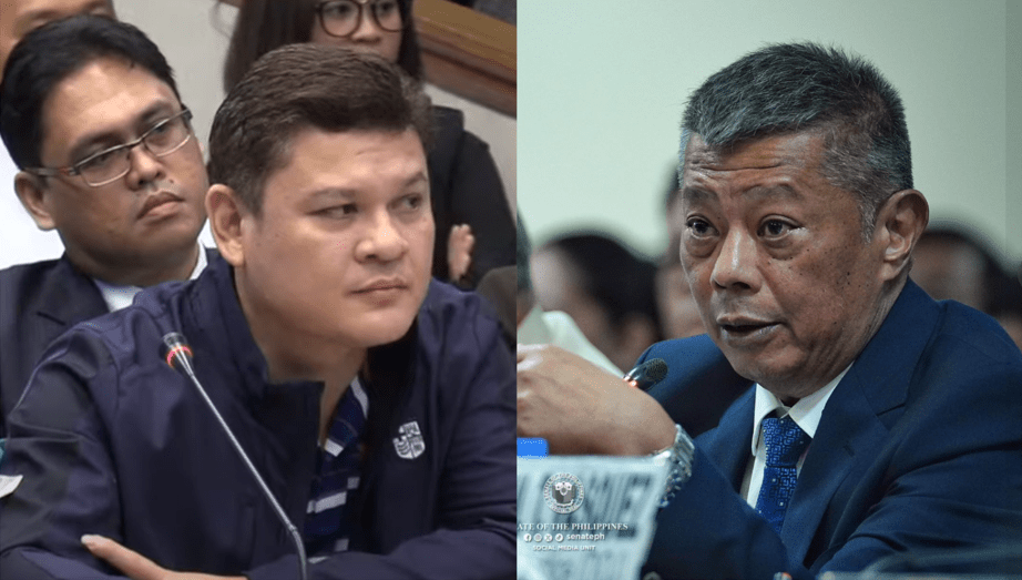 Remulla: Let prosecutors handle case vs&nbsp;Pulong