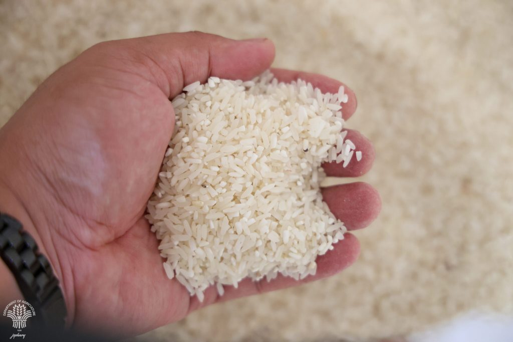Agri chief orders probe as Filipinos favor imported rice over local&nbsp;varieties