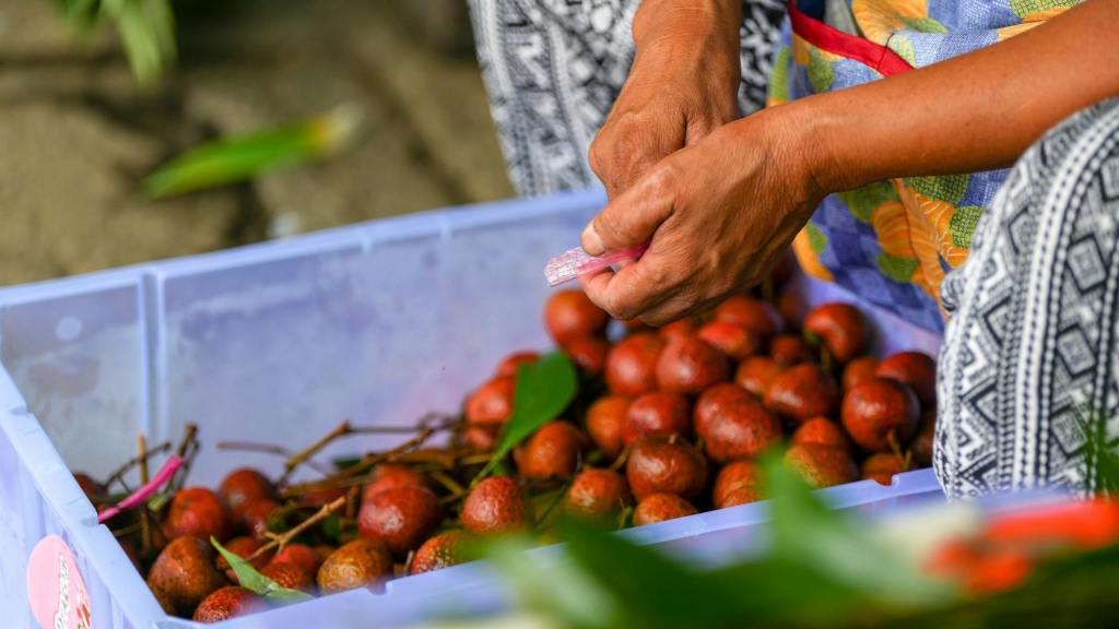 Philippine headline inflation slows to 0.9% in&nbsp;July