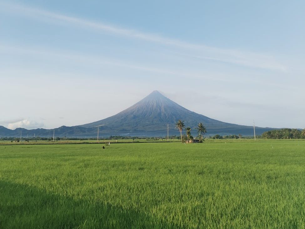 Marcos suspends rice imports for 60 days starting September&nbsp;1