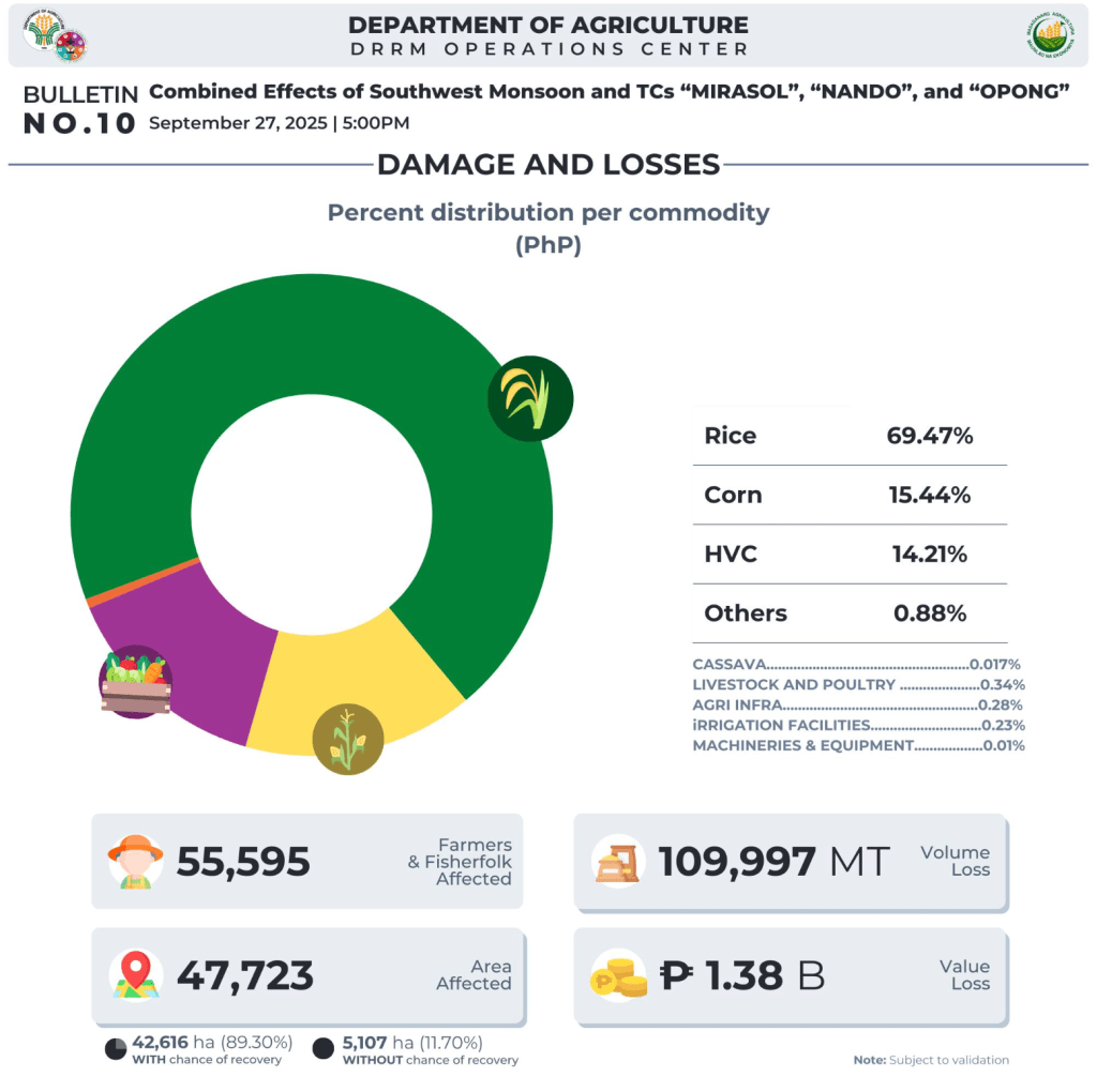 Over 55K farmers hit as cyclones, Habagat cause P1.38-B in agri&nbsp;losses