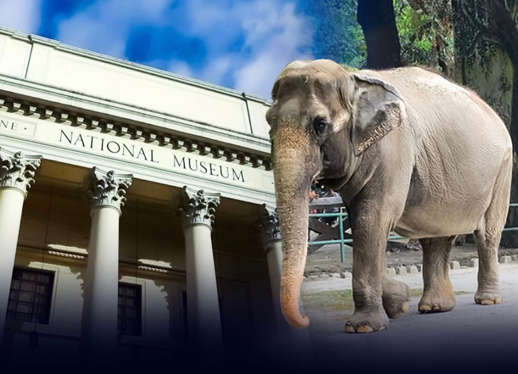 Isko Moreno: Mali to find new home at National&nbsp;Museum