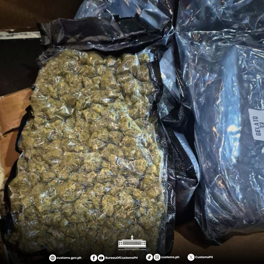 Customs foils P55-M kush smuggling attempt via balikbayan&nbsp;boxes