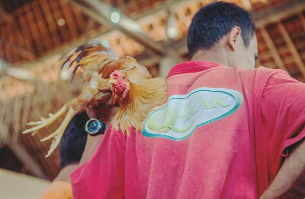 More evidence revive pressure on Atong Ang, others in missing cockfight&nbsp;probe