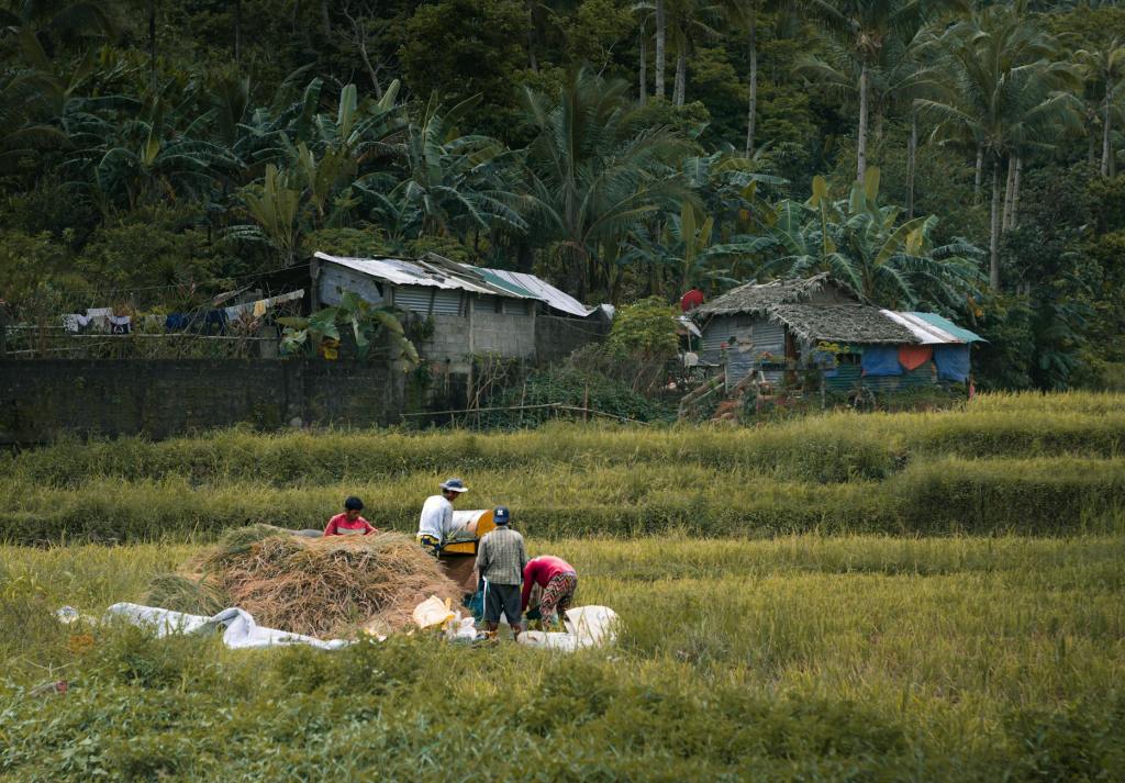 DA fast-tracks consultations on proposed revisions to Rice Tariffication&nbsp;Law