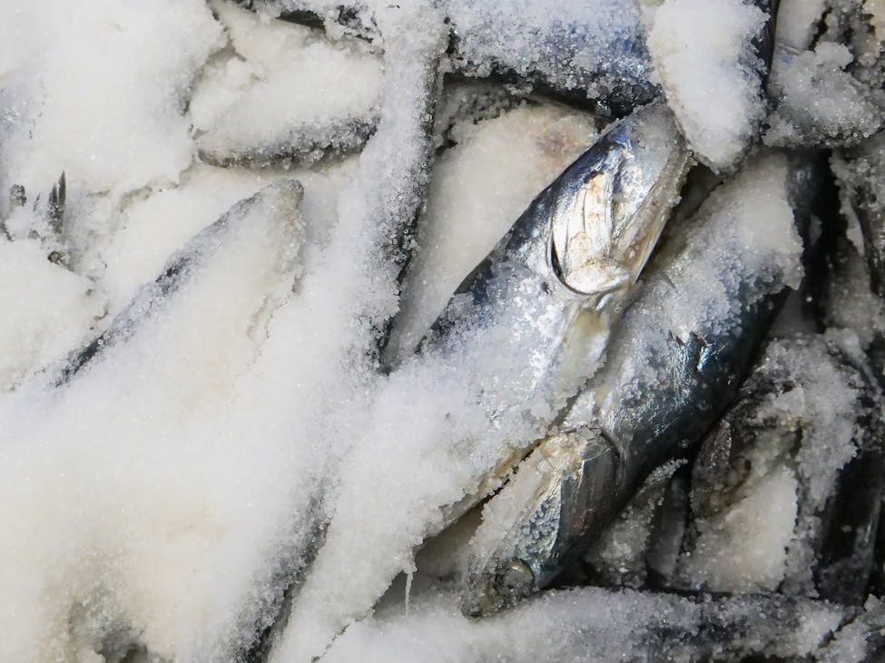 Senate orders detention of 3 over alleged smuggling of frozen&nbsp;mackerel