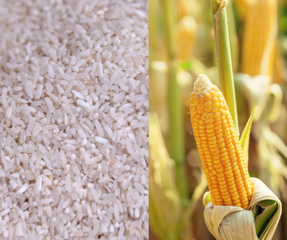 DA allays fears over rice shortage after Tino, sees losses in corn&nbsp;sector