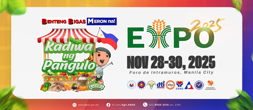 DA to showcase P20 rice at Kadiwa ng Pangulo Expo 2025 in&nbsp;Intramuros