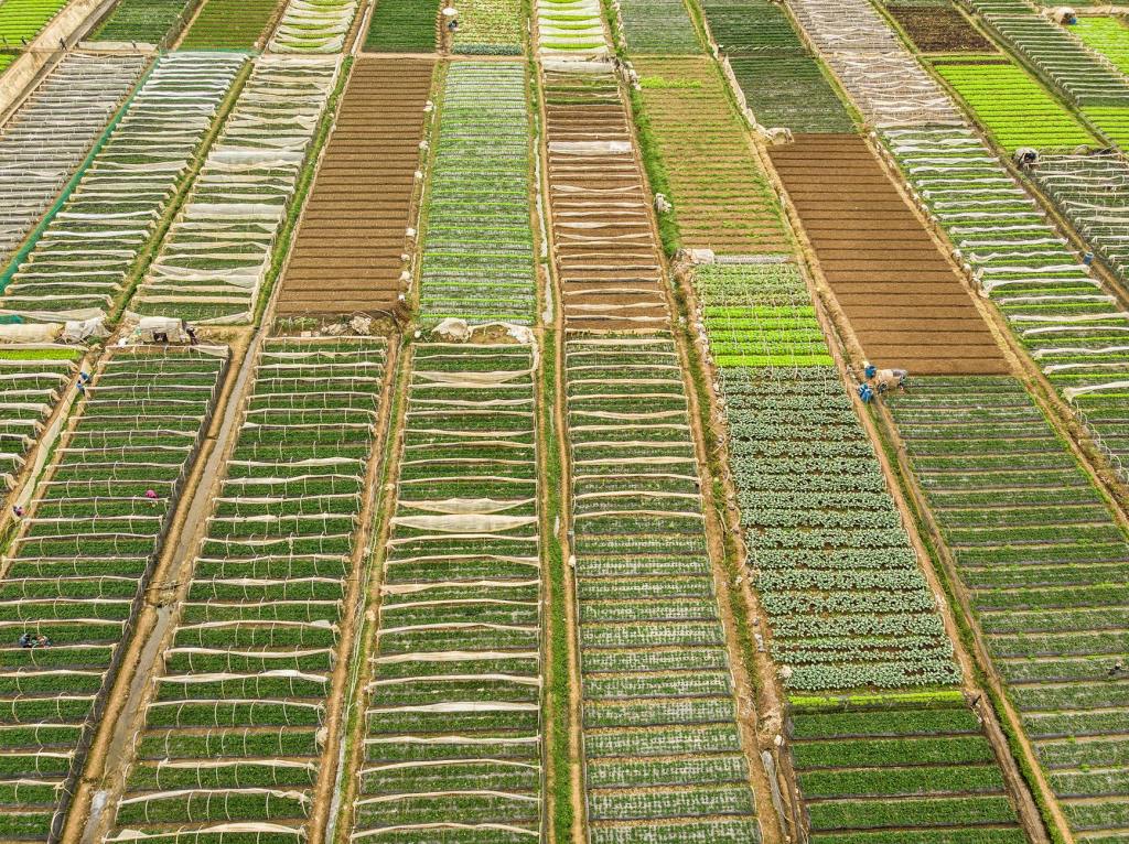 Lawmaker organic farming as public health&nbsp;strategy