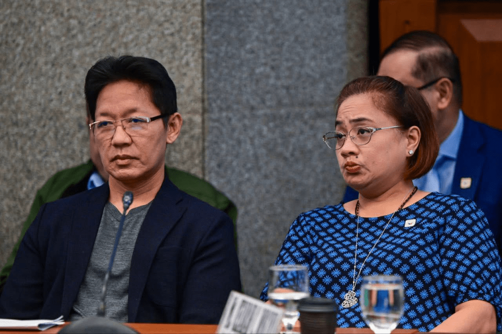 Cops hunt Sarah Discaya, others over Davao Occidental ghost flood project