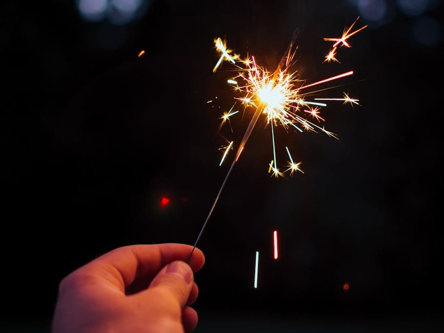 Groups urge safer New Year celebrations to protect pets and&nbsp;environment