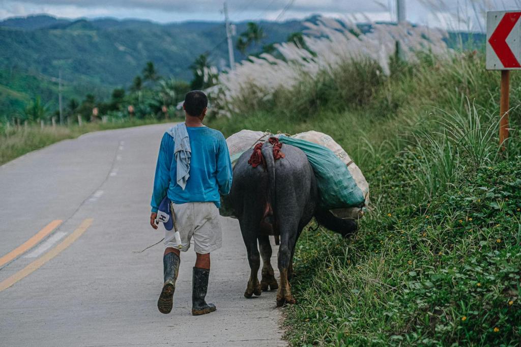 Pangilinan says 2026 budget brings local farmers’ milk to public&nbsp;schools