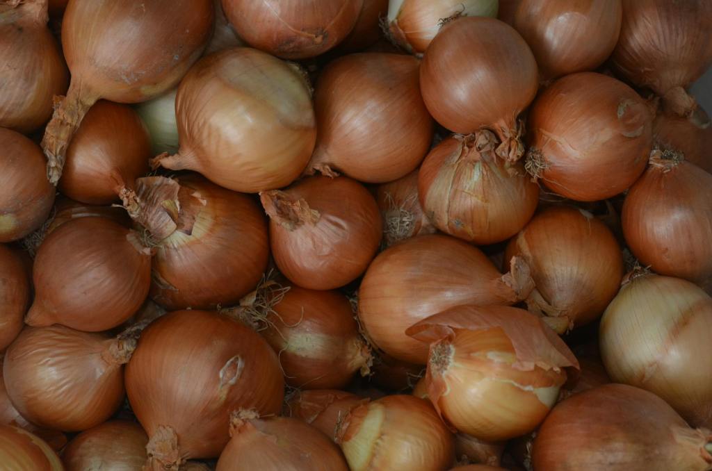 DA issues show-cause orders to retailers over overpriced onions,&nbsp;pork
