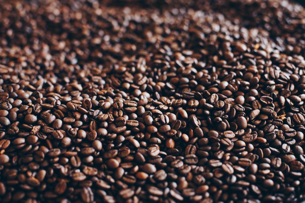 Lacson files bill creating national coffee industry development&nbsp;program