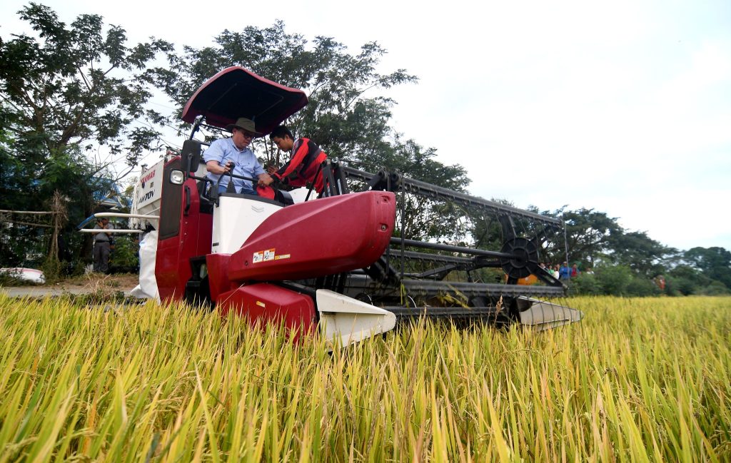Philippine agriculture posts fastest growth in eight years at 3.1% in&nbsp;2025