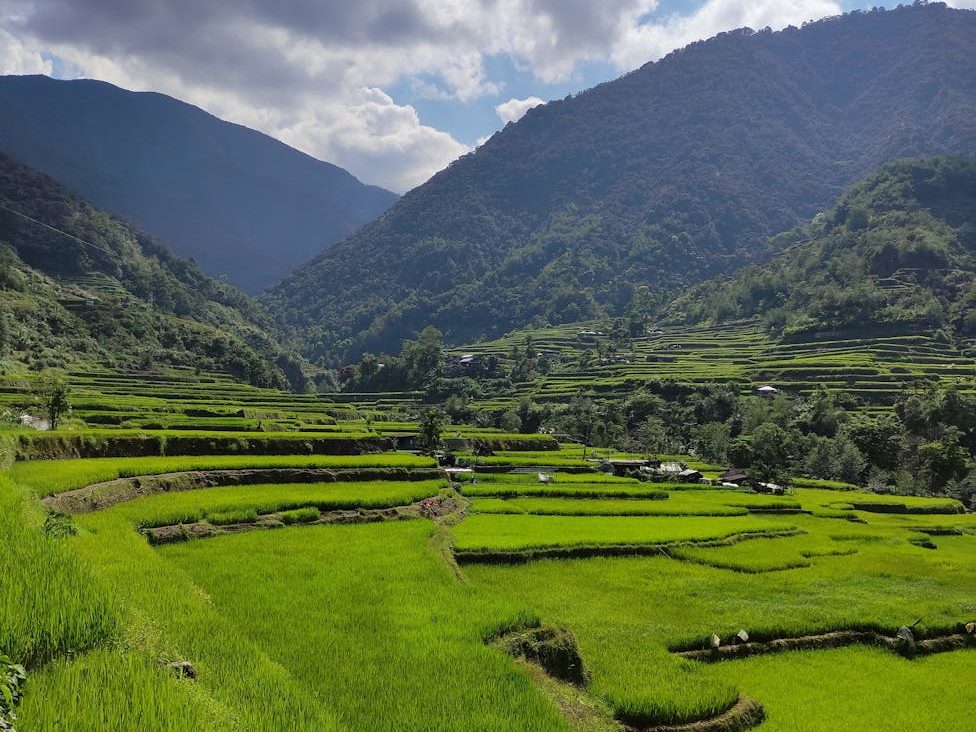 Abra lawmakers push free weather index-based crop insurance for&nbsp;farmers