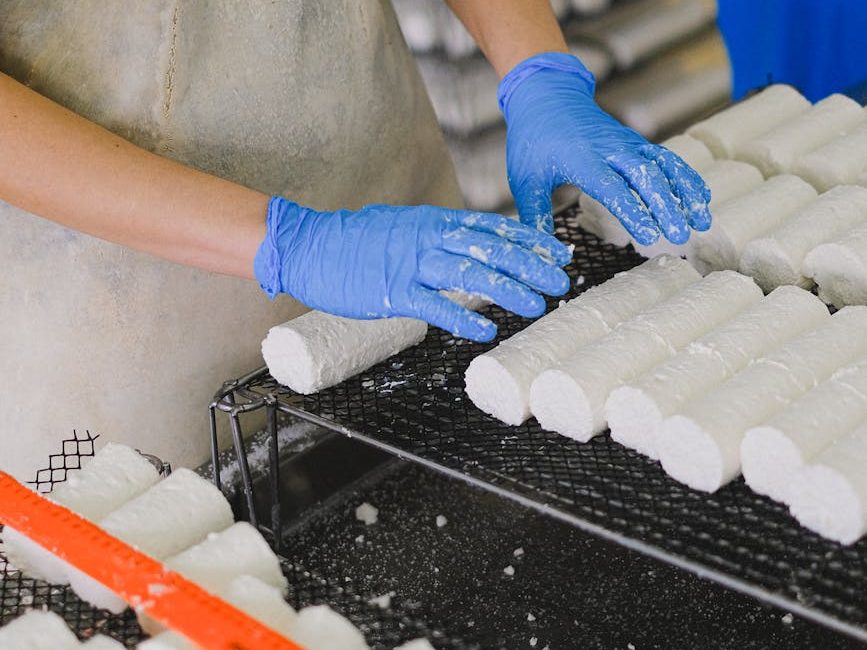 Philippines’ dairy output hits record 43 million liters in&nbsp;2025