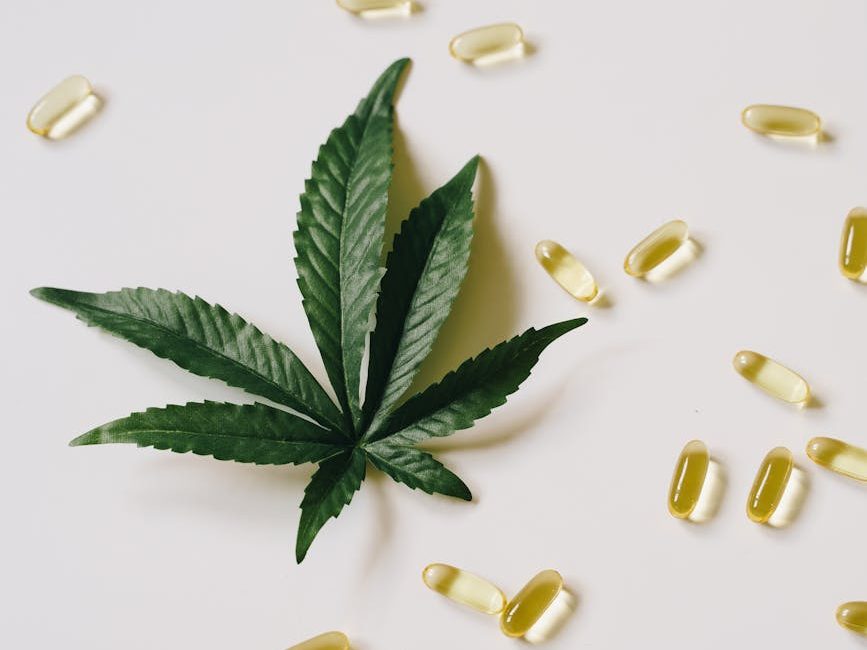 Medical cannabis access gets House panel&nbsp;nod