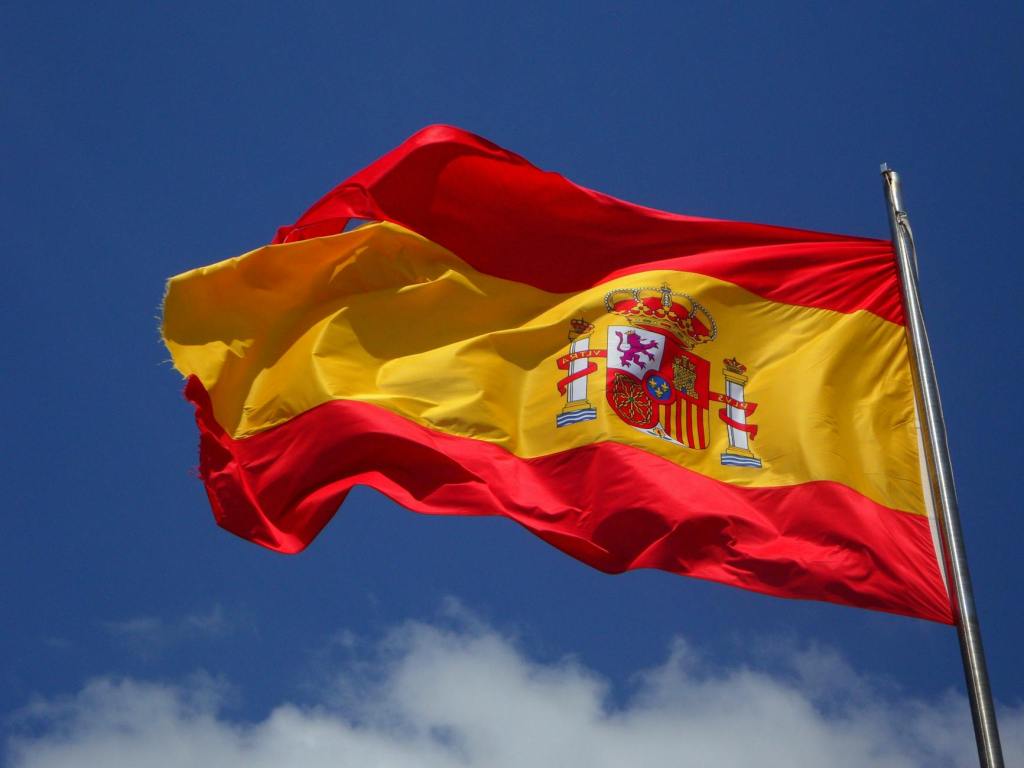 Spain flags possible human-to-human transmission of swine flu&nbsp;variant