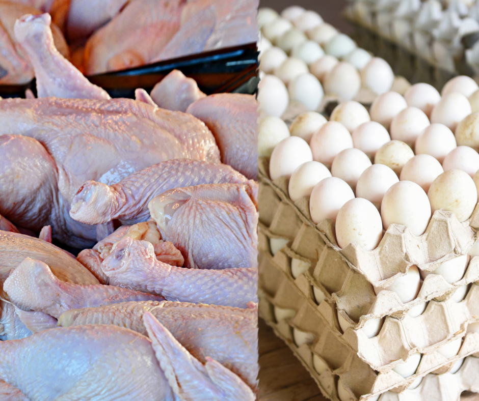 DA halts poultry imports from Indiana over H5N1 avian flu outbreak