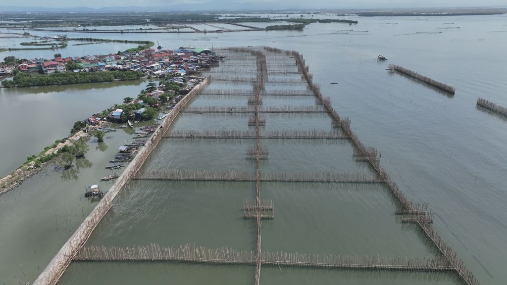 Malolos, Dutch firm launch nature-based coastal defense pilot in&nbsp;Pamarawan