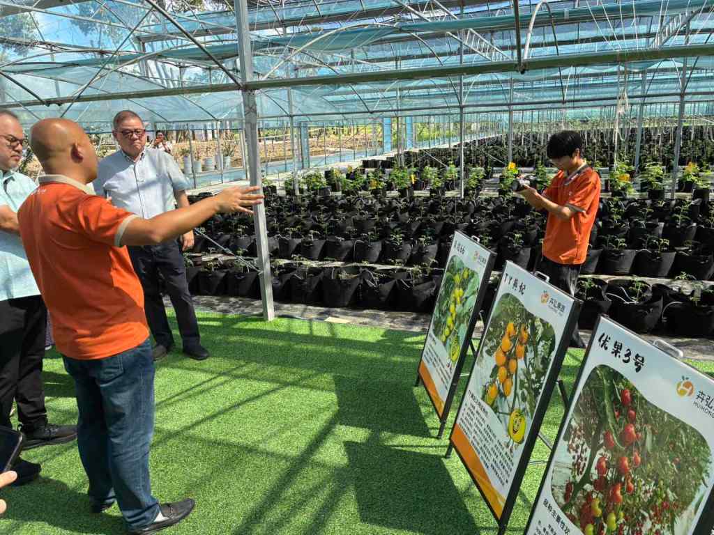DA explores ‘copying’ Chinese smart farming technologies to boost local crop productivity