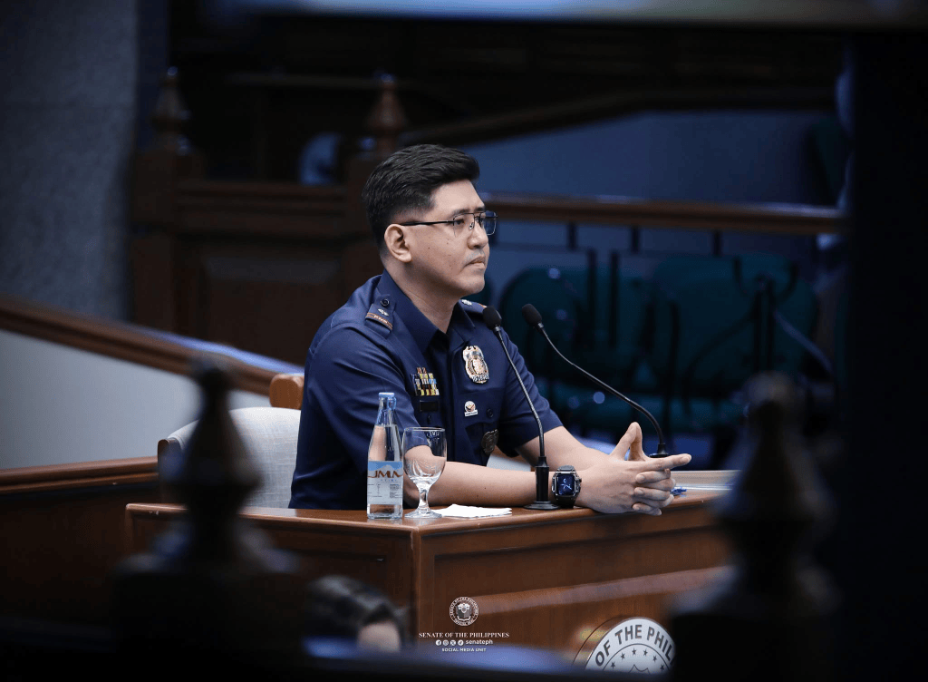 Duterte, Carpio have 51 registered firearms worth P7.2 million:&nbsp;PNP